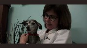 Mohns Avenue Veterinary Service
