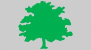 Diamond Tree Accounting