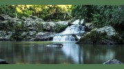 Bear Creek Counselling