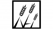 New Harvest Media
