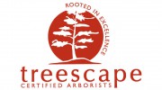 Treescape Certified Arborists