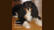 Hopital Vtrinaire De Shediac