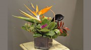 Graham & Lane Florists
