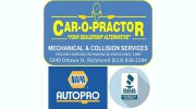 Napa Autopro-Car-O-Practor