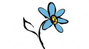 Blue Daizy Video Productions