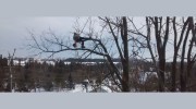 Full Circle Tree Care