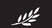 Branch Financial