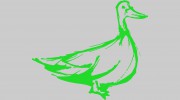 Green Goose Renovations & Construction