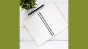 Apex Accounting Service