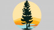 Storybook Tree Services