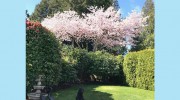 Tall Timber Tree Service