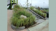 Sydney Landscaping & Nurseries