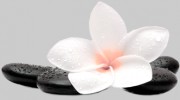 Country Club Massage Therapy