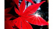 Plan Your Immigration To Canada