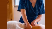 College Of Massage Therapists