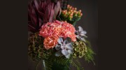 Flower Studio