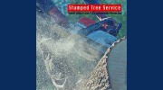 Stumped Tree Service