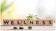 Integro Massage & Wellness