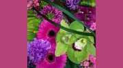 La Belle Fleur Floral Boutique