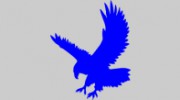 L'aquila Electronic Systems