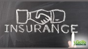 Wilson Insurance