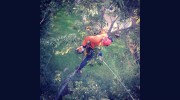 STS Tree Services