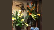 Flowers By Freesia