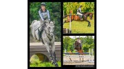 Carrick Hill Equestrian Centre
