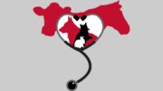 Paris Veterinary Clinic