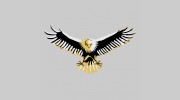 Dan Mazzilli Realtor