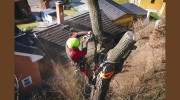 Poplar Mechanics Tree Services