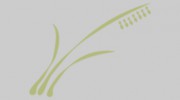 Copperfield Dental