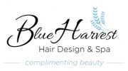 Blue Harvest Hair Design & Spa