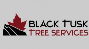 Black Tusk Tree Services