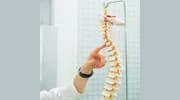 The Healthy Family Chiropractic Milton