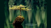 Images By Dave Hutchison
