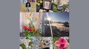 Lake Florist