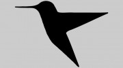 Maritime Canoe Outfitters