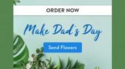 Blooming Buds Florists