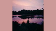 Royal LePage Lakes Of Muskoka