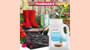 Wincare Pharmacy