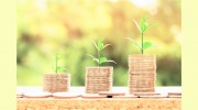 Green Fortunte Accounting