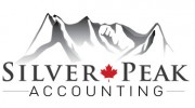 Silver Peak Accounting