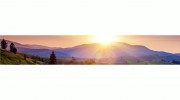 Elements Of Life Acupuncture & Wholistic Health Centre