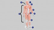 Physiotherapy Advanced Rehab