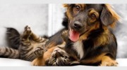 Woodbine Animal Clinic