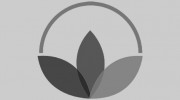 North Country Massage Therapy