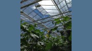 Doef's Greenhouses