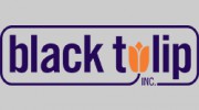 Black Tulip Administrative Service