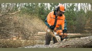 J Birch Tree Service